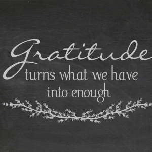 Read more about the article “GRATITUDE WILL CHANGE YOUR ATTITUDE!”